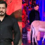 আবারো বিয়ের পিঁড়িতে সঞ্জয় দত্ত! ৬৫ বছরে এসে কার সঙ্গে গাঁটছড়া বাঁধলেন ?|bolly actor