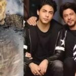 অভিনয়ে বিরতি, কেন বিক্রান্ত ম্যাসি নিলেন অবসর নেওয়ার সিদ্ধান্ত? অনুরাগীদের প্রশ্ন